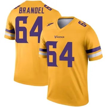 Minnesota Vikings Blake Brandel Purple City Edition Vapor Limited Jersey -  Bluefink